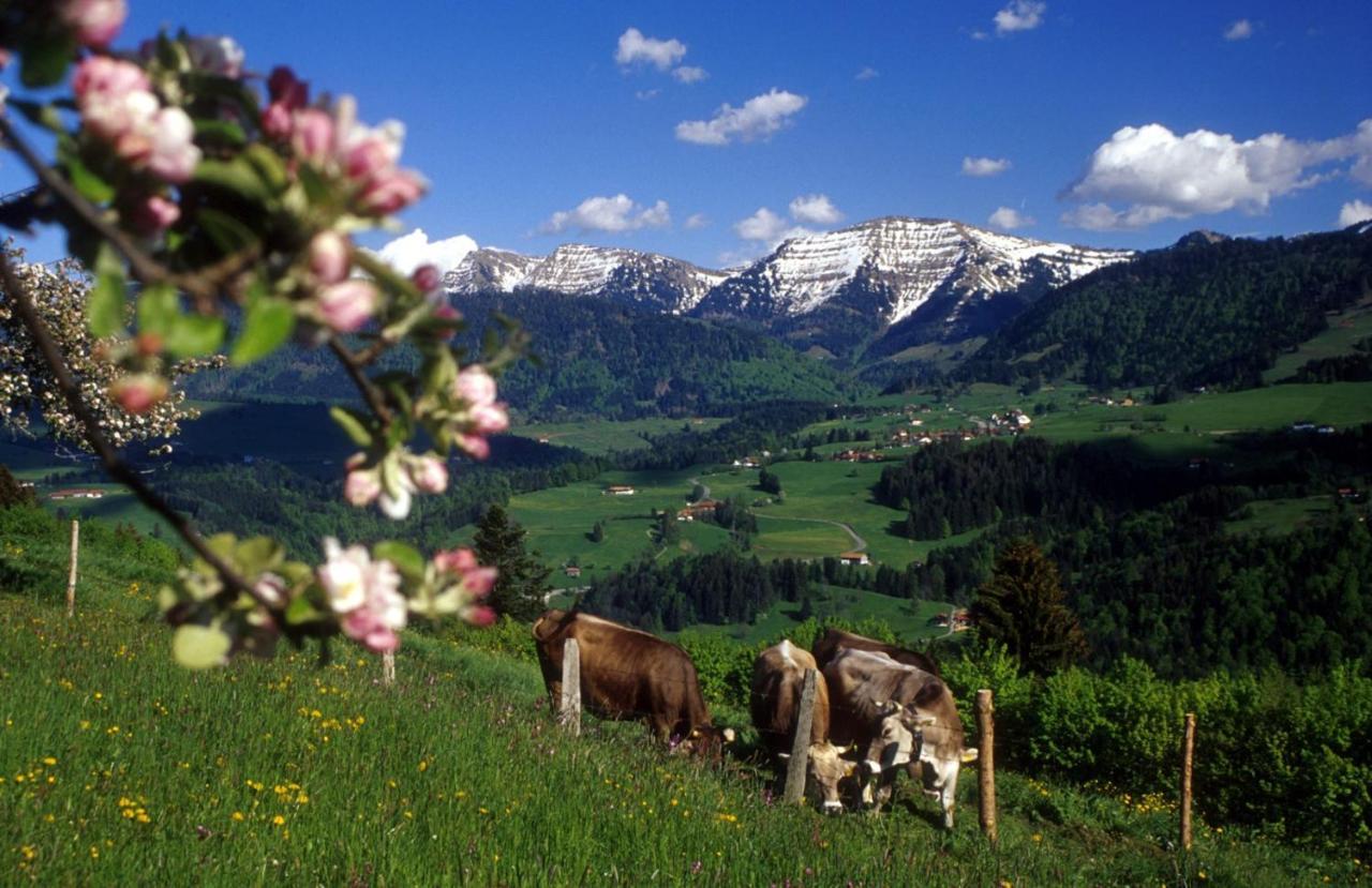 Апартаменти Fewo "Bergparadies",Oberstaufen-Steibis Екстер'єр фото