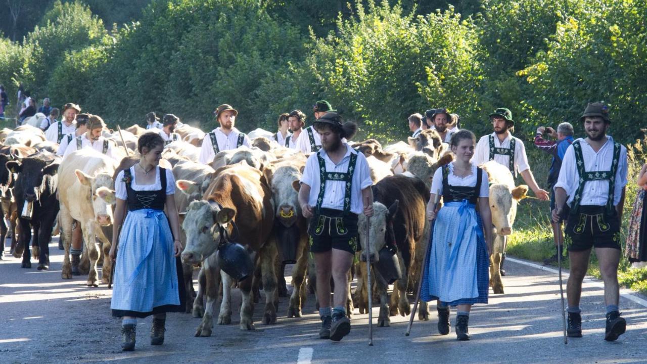 Апартаменти Fewo "Bergparadies",Oberstaufen-Steibis Екстер'єр фото