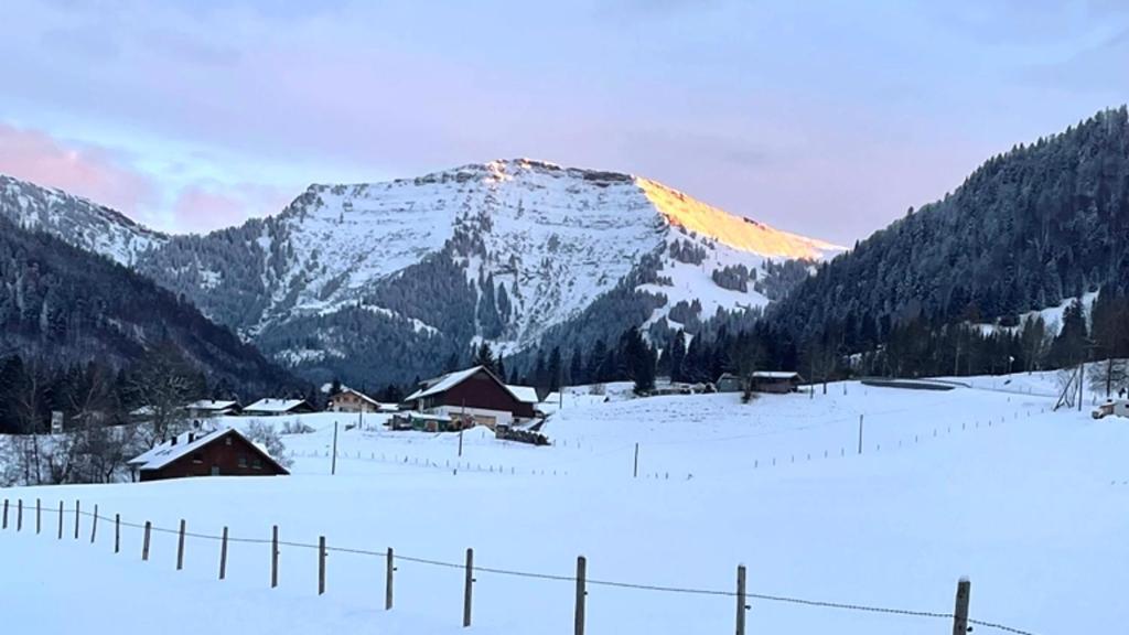 Апартаменти Fewo "Bergparadies",Oberstaufen-Steibis Екстер'єр фото